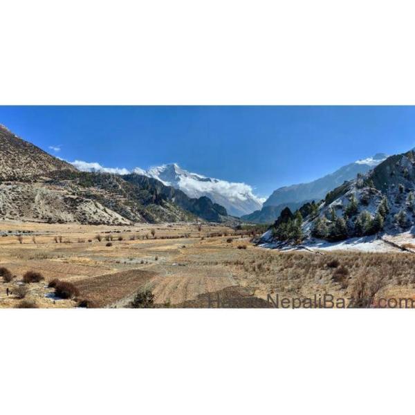 Adventure Great Himalaya Treks & Expedition