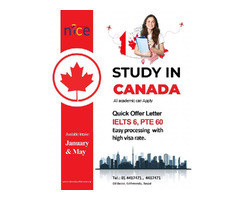 Nice Education Consultancy Pvt.Ltd. - 2