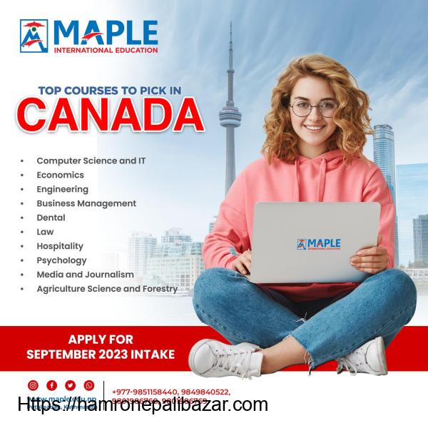 Maple International Education - 1/4