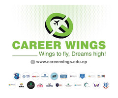 Career Wings - 2