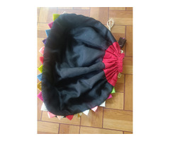 Giant thaili - 2