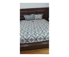 King size bedsheet with 2 pillow covers - 2
