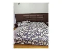 King size bedsheet with 2 pillow covers - 4