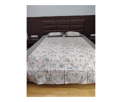 King size bedsheet with 2 pillow covers - 6
