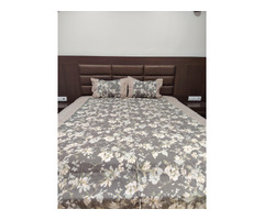 King size bedsheet with 2 pillow covers - 7