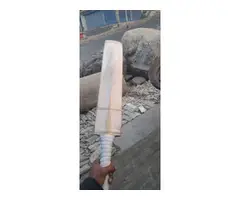 SS English willow Duse bat - 2