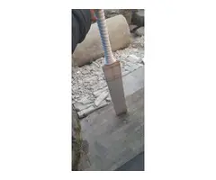 SS English willow Duse bat - 4