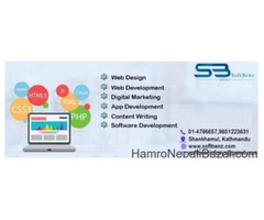 Softbenz Infosyn Pvt.Ltd - 2