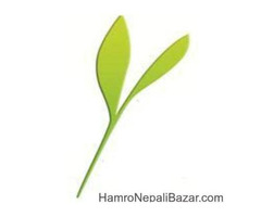 Register Domain In Nepal - 2