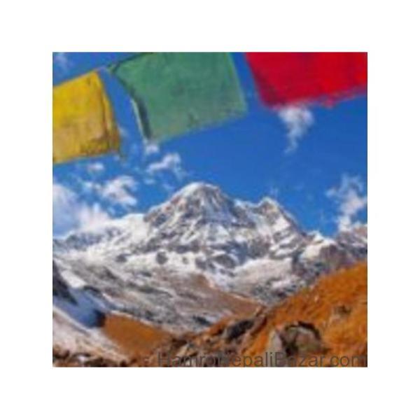 Himalayan Glacier Trekking - 1